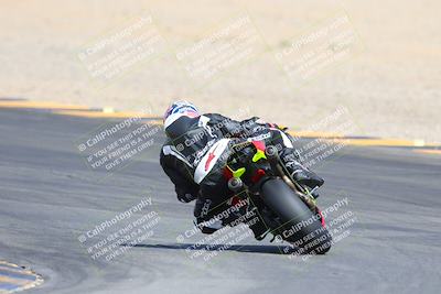 media/Mar-10-2024-SoCal Trackdays (Sun) [[6228d7c590]]/9-Turn 8 Backside (1150am)/